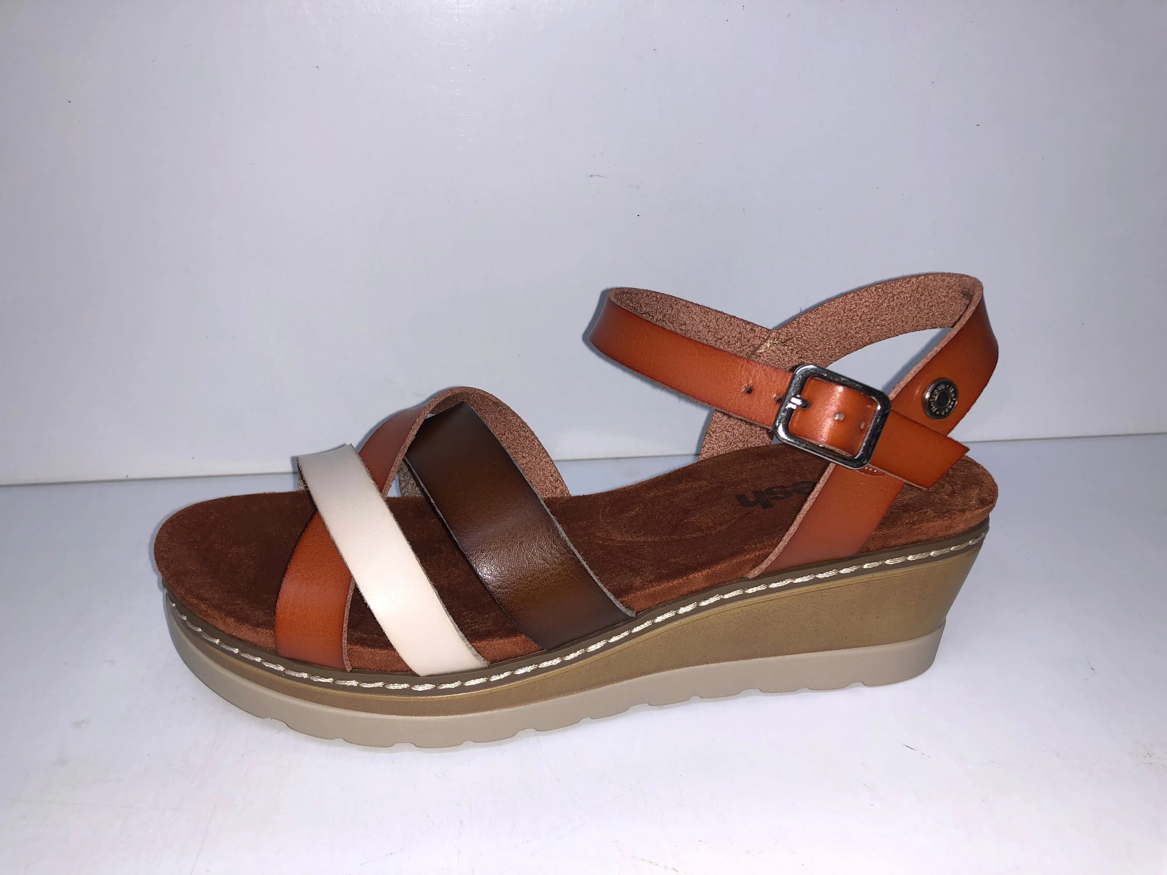 171785 CAMEL