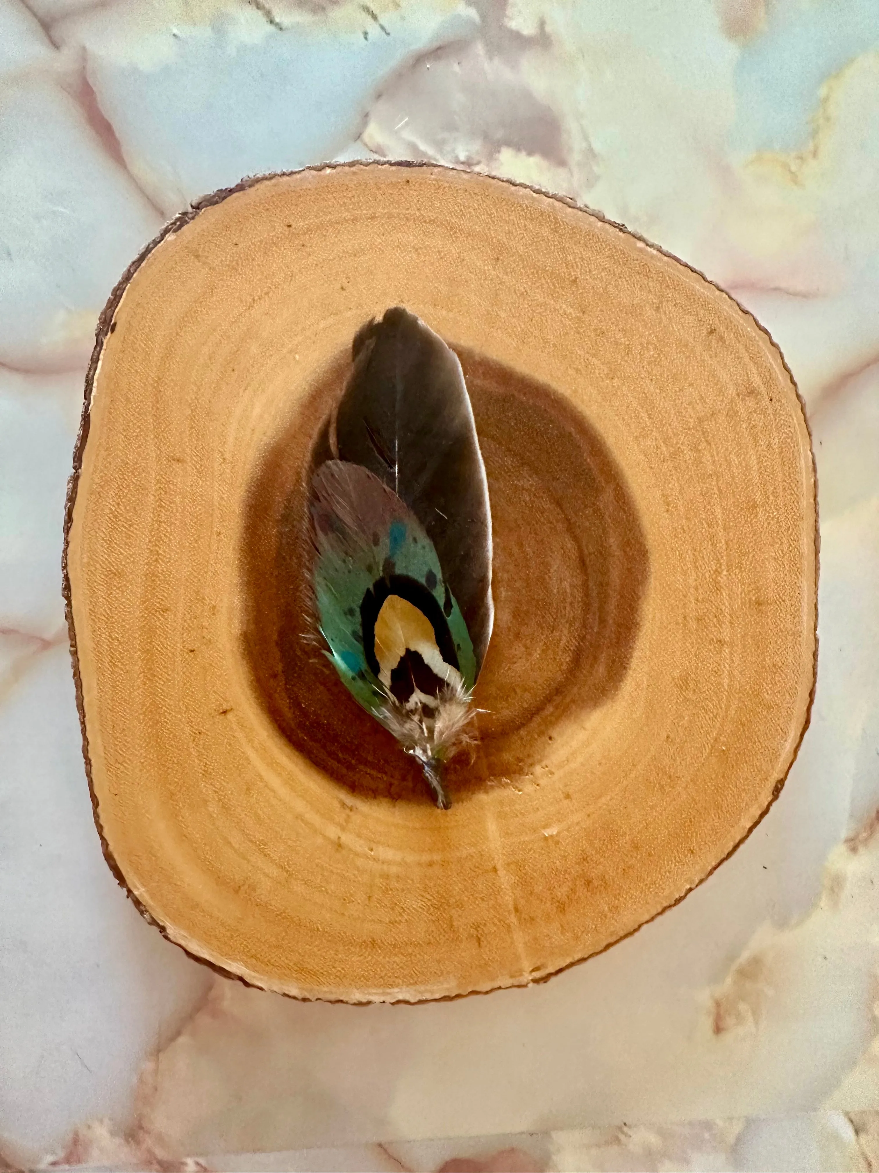 Combo Feather 57