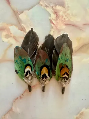 Combo Feather 57