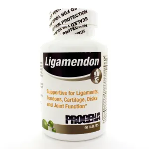 Ligamendon