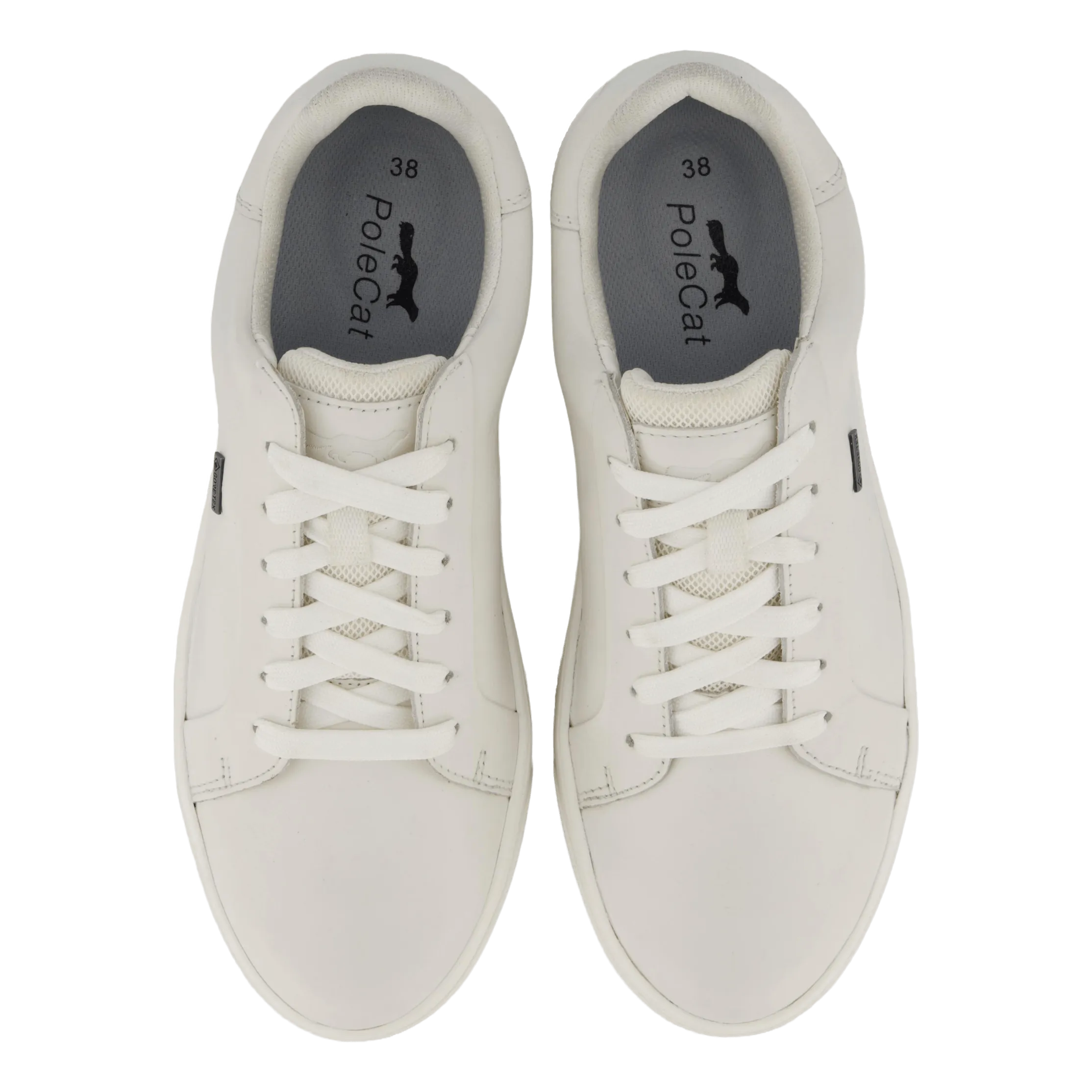 Rex Turin Gtx White
