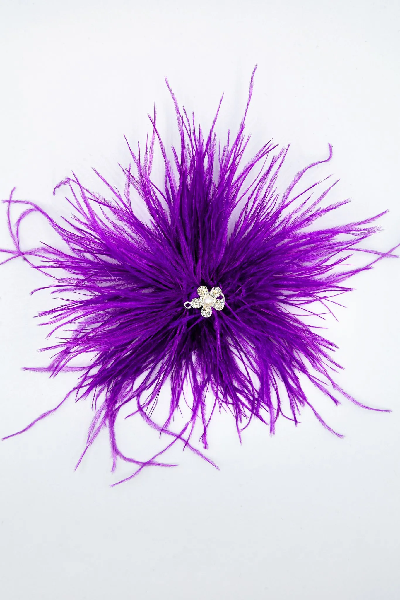Violet Majesty: Feather Shoe Clip