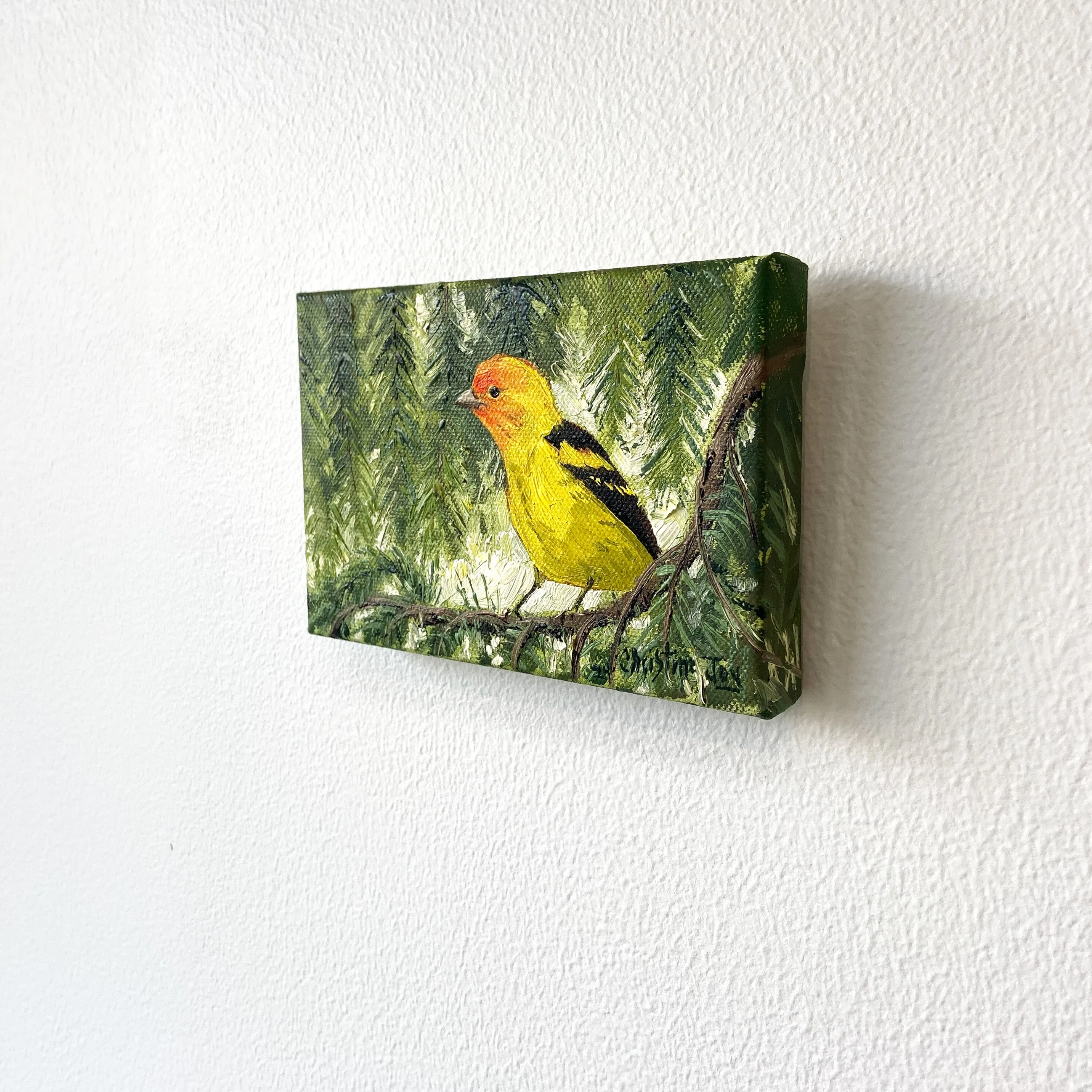 Western Tanager