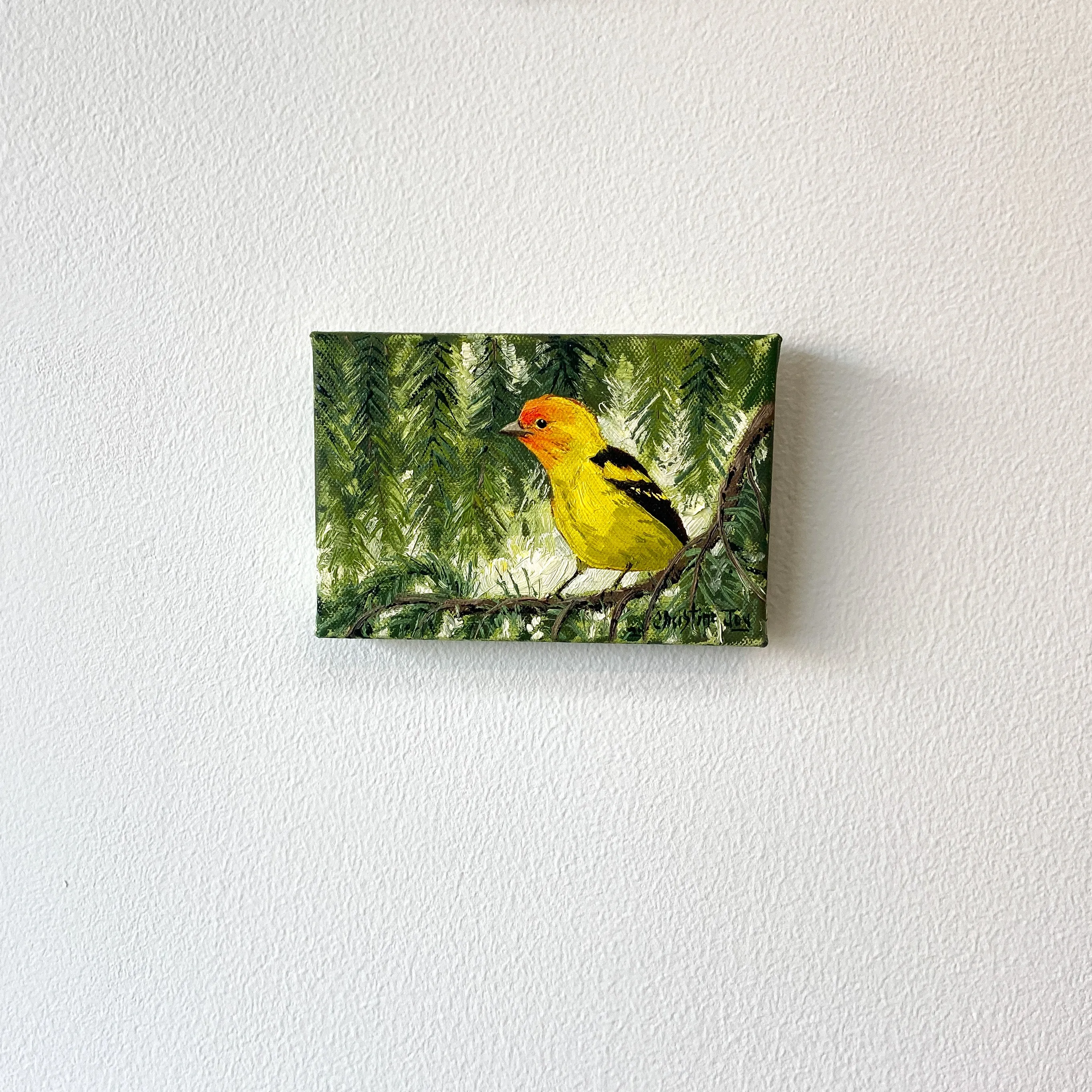 Western Tanager